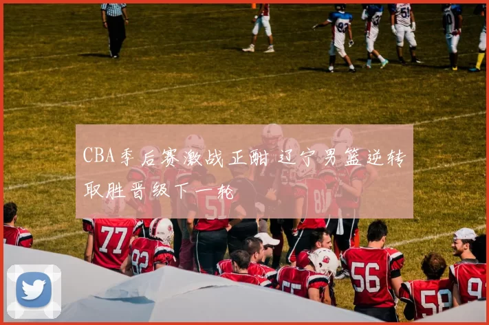 CBA季后赛激战正酣 辽宁男篮逆转取胜晋级下一轮