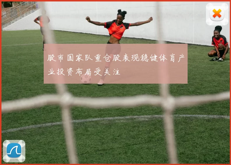 股市国家队重仓股表现稳健体育产业投资布局受关注